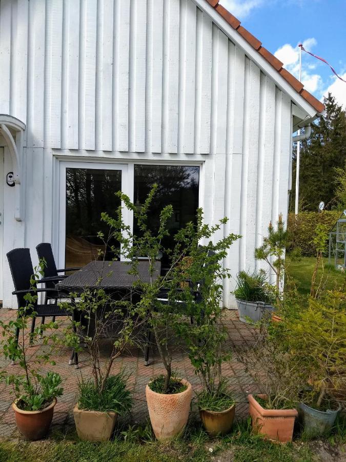 فيلا Abildskovhus Feriebolig Funder Kirkeby المظهر الخارجي الصورة
